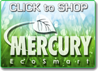 Mercury Ecosmart